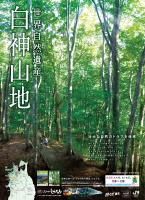 世界自然遺産 白神山地 イメージポスター