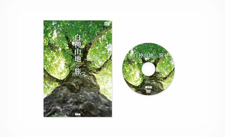 白神山地への旅 DVD
