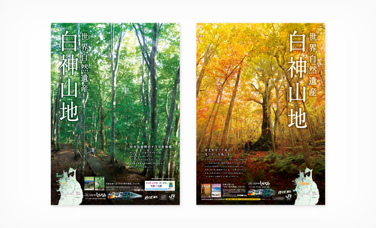 世界自然遺産白神山地