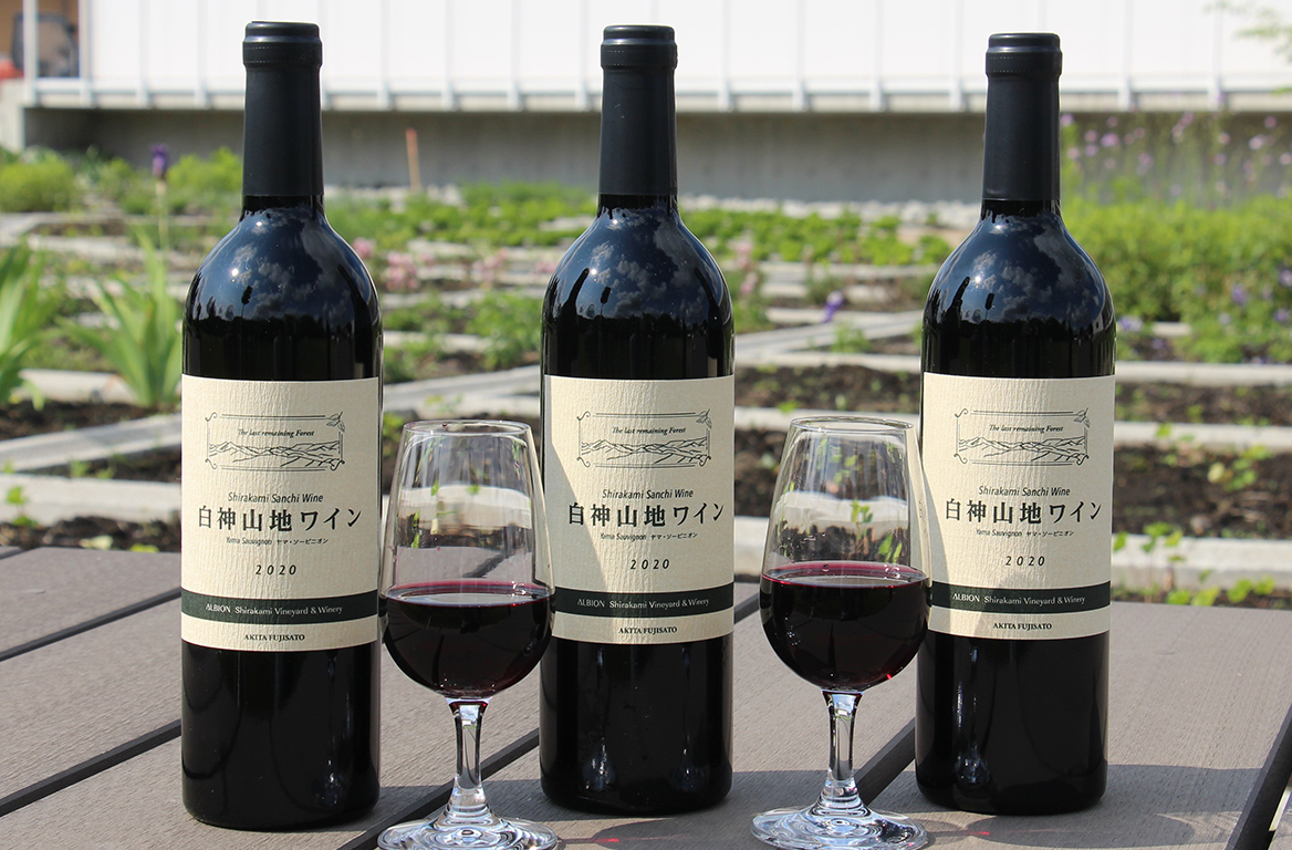 白神山地ワイン