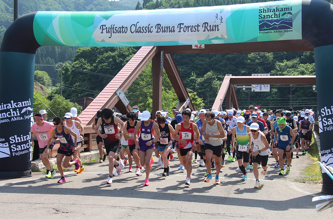 白神山地ブナの森マラソン
