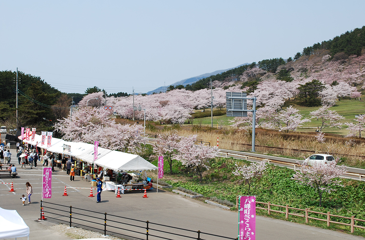 八峰町さくらまつり